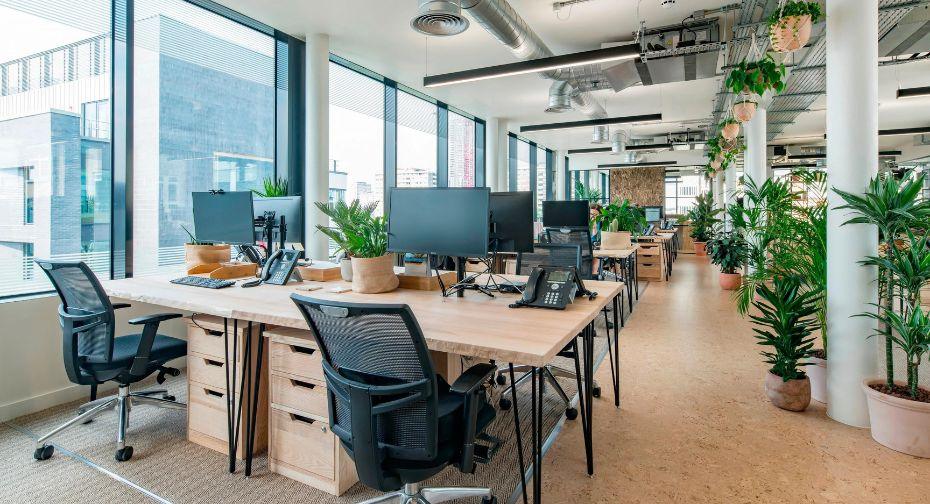 3 Types Of Lumbar Support For Office Chairs