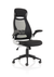 Saturn High Mesh Back Black Executive Office Chair with Arms